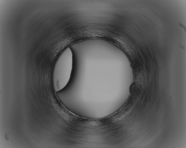 X0000094950402200711291110