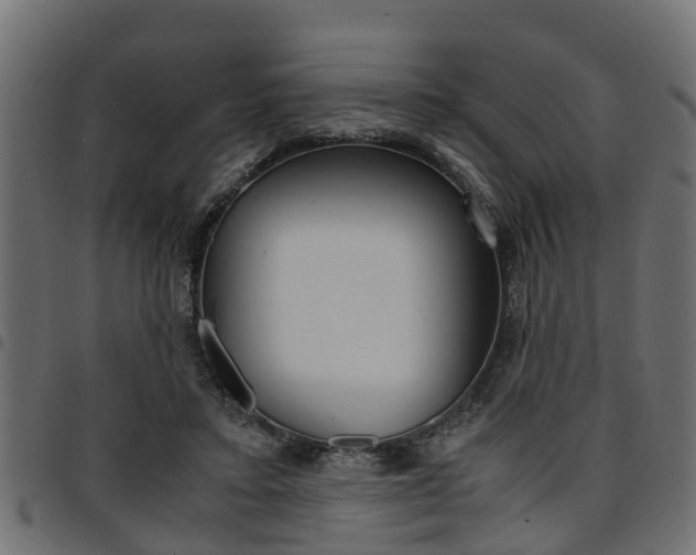 X0000094950403200711291110