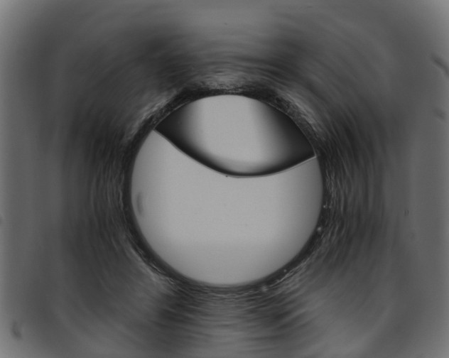 X0000094950404200711291110
