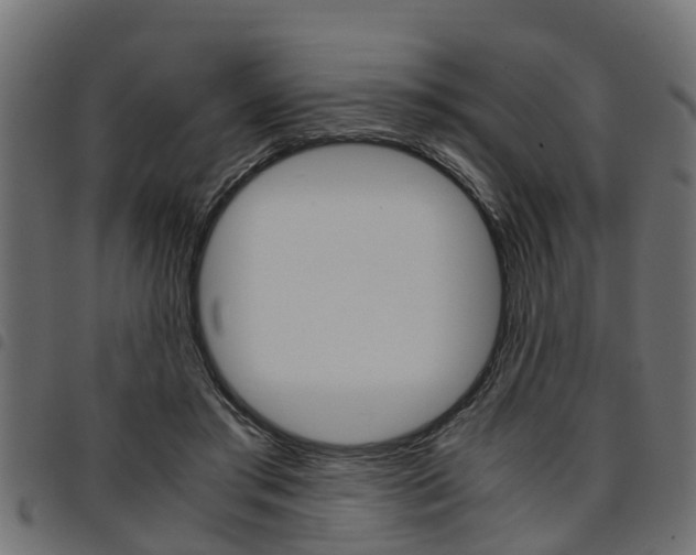 X0000094950405200711291110