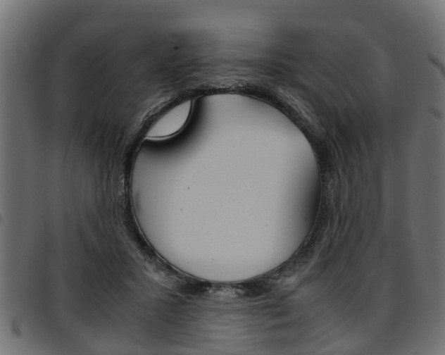 X0000094950407200711291110