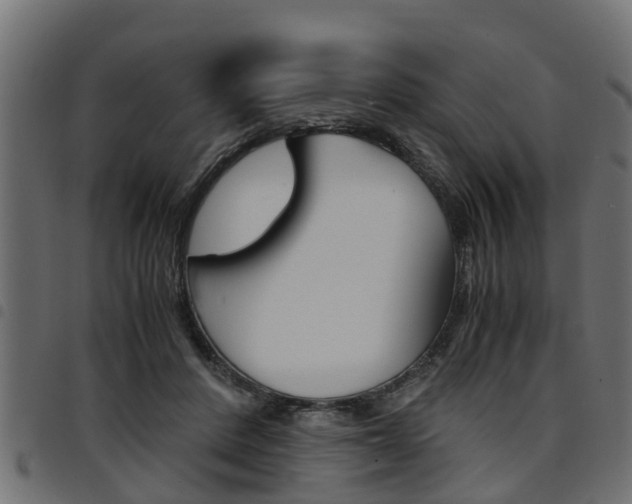 X0000094950408200711291110
