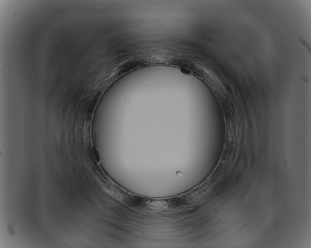 X0000094950409200711291110