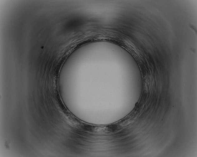 X0000094950410200711291110