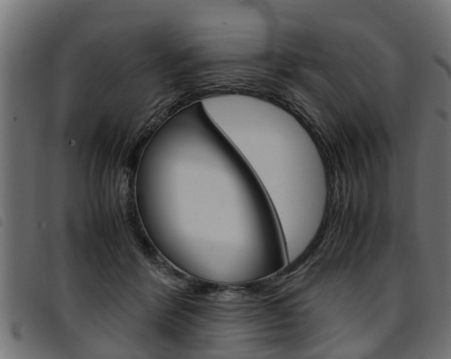 X0000094950412200711291110