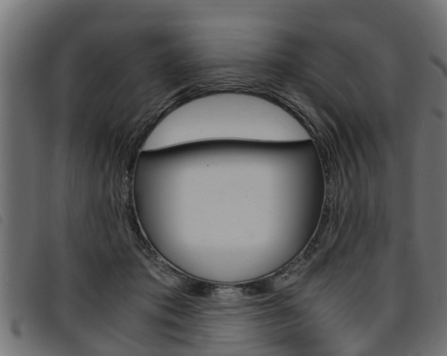 X0000094950413200711291110