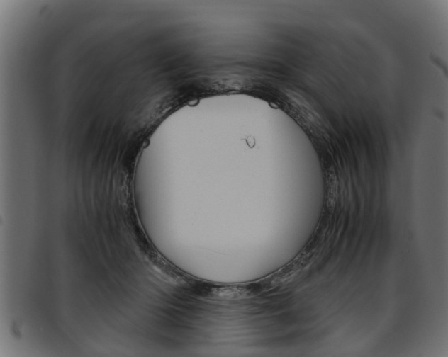 X0000094950414200711291110