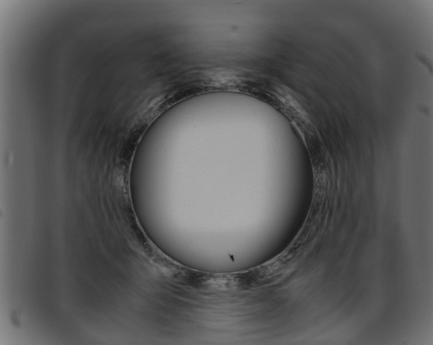 X0000094950415200711291110
