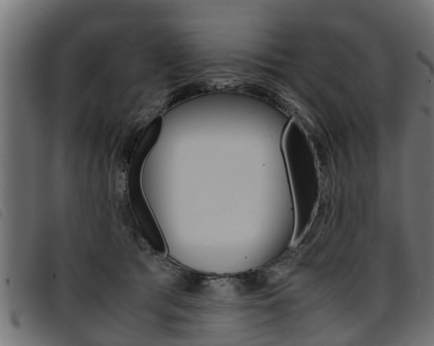 X0000094950417200711291110