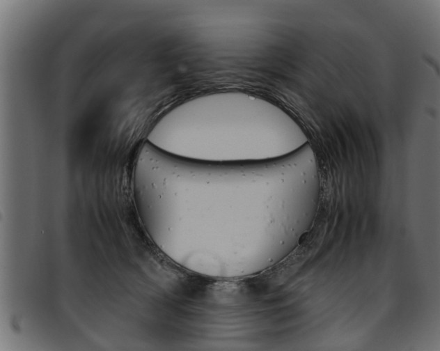 X0000094950418200711291110
