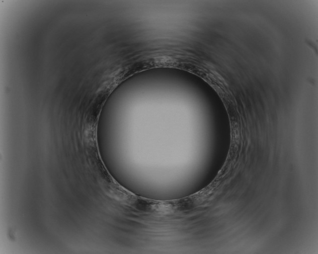 X0000094950419200711291110