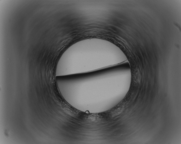 X0000094950420200711291110