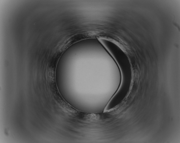 X0000094950421200711291110