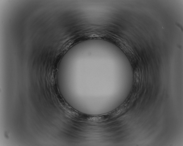 X0000094950422200711291110