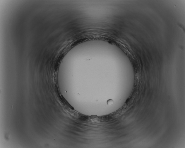 X0000094950423200711291110