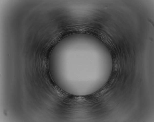 X0000094950424200711291110