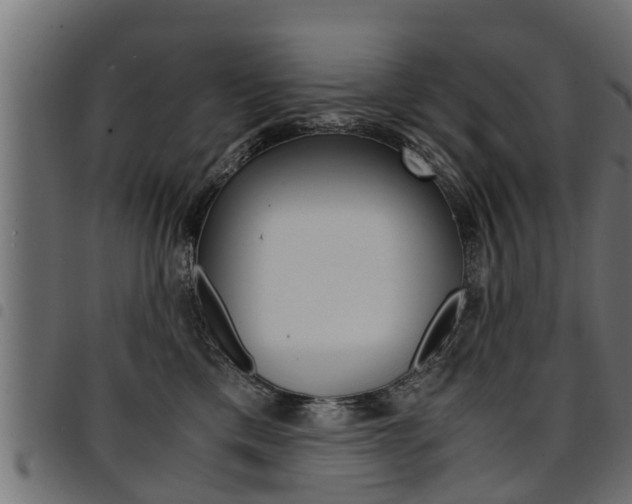 X0000094950425200711291110