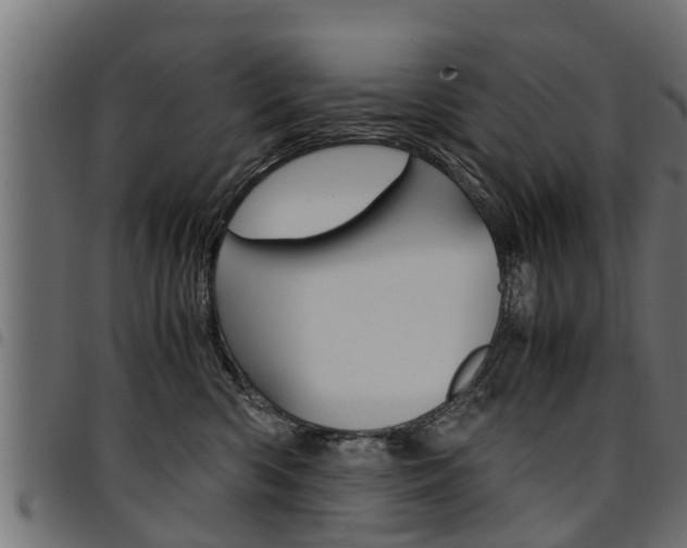 X0000094950426200711291110