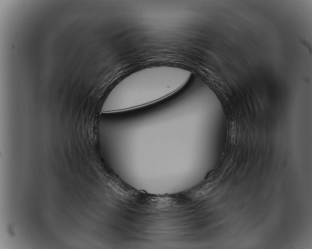 X0000094950428200711291110