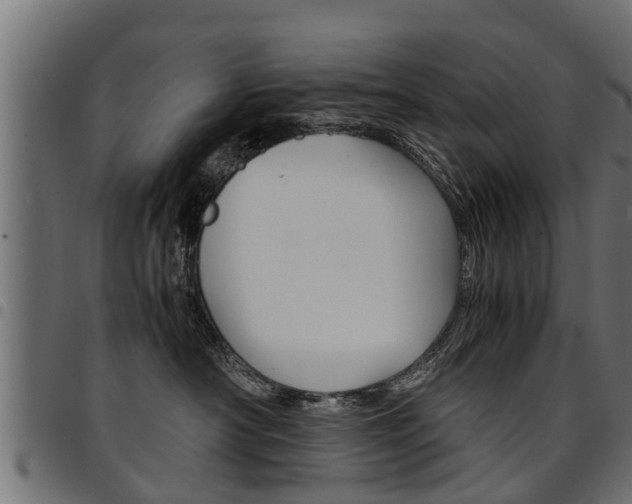 X0000094950430200711291109