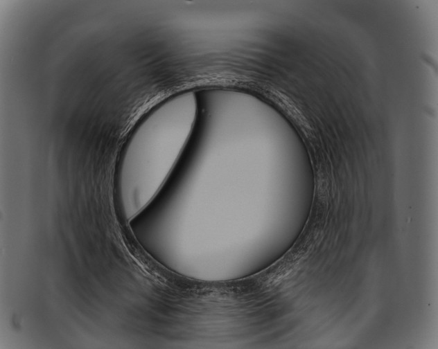 X0000094950434200711291109