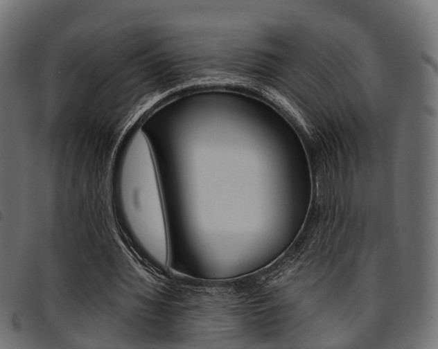 X0000094950436200711291109