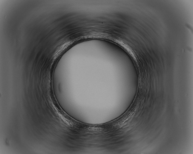 X0000094950437200711291109