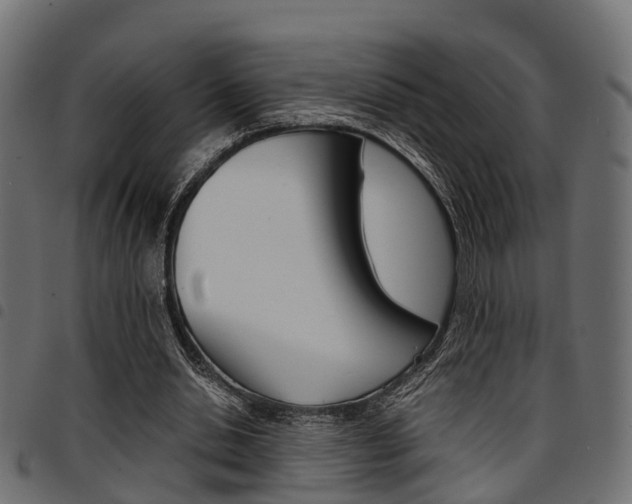 X0000094950438200711291109