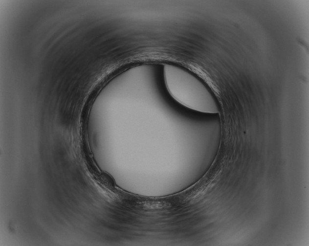 X0000094950439200711291109