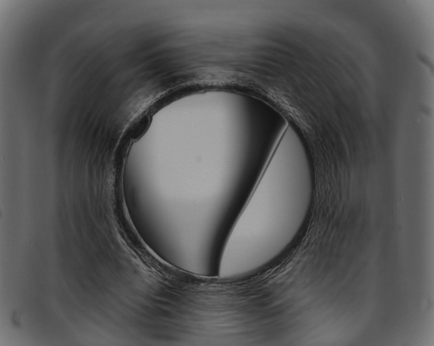 X0000094950440200711291109