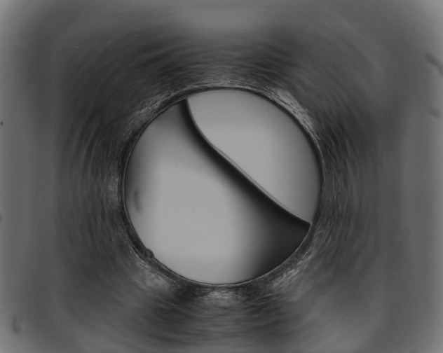 X0000094950441200711291109