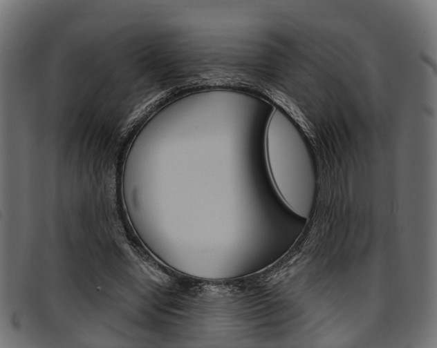 X0000094950442200711291109