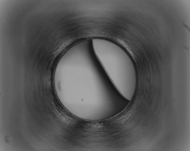 X0000094950443200711291109