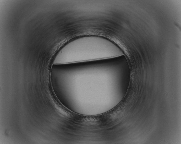 X0000094950445200711291109