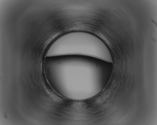 X0000094950446200711291109