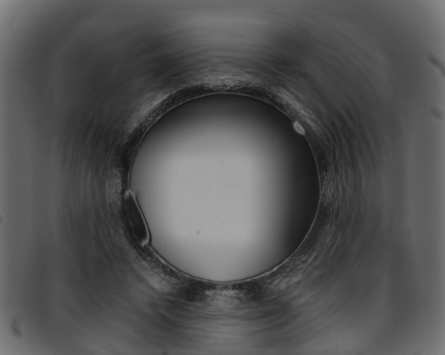 X0000094950448200711291109