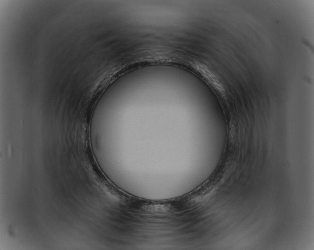 X0000094950449200711291109