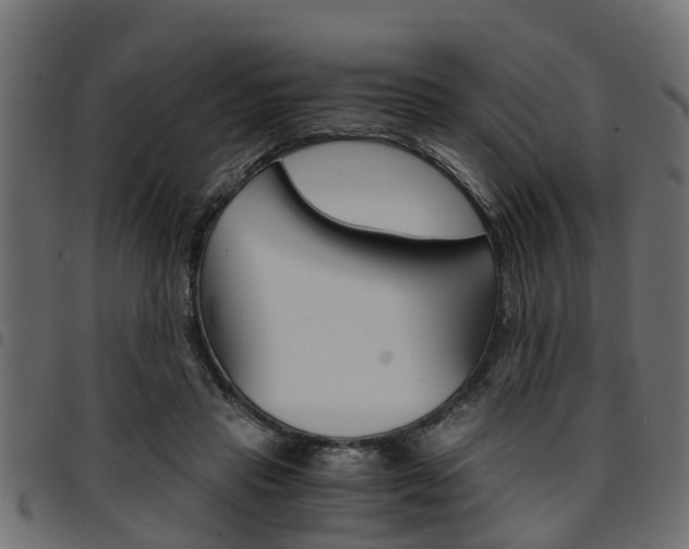 X0000094950453200711291109