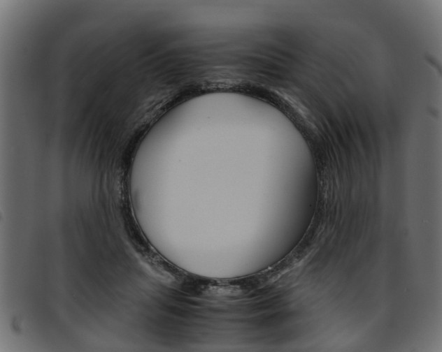 X0000094950455200711291109