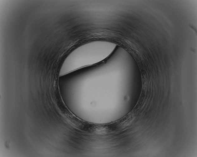 X0000094950456200711291109