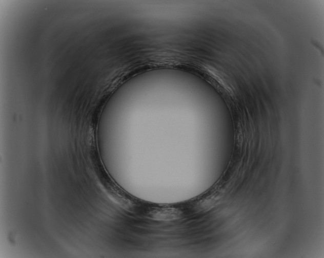X0000094950459200711291109