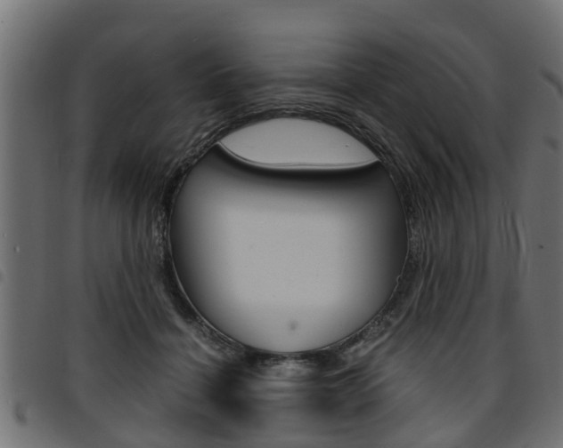 X0000094950460200711291109
