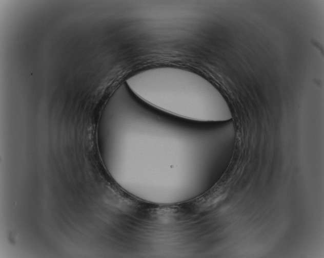 X0000094950462200711291109
