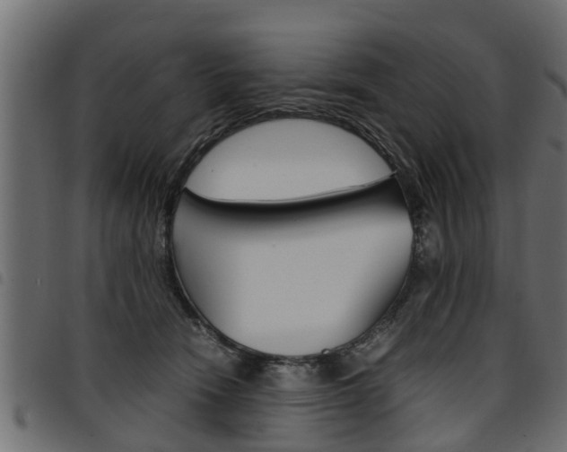 X0000094950466200711291109