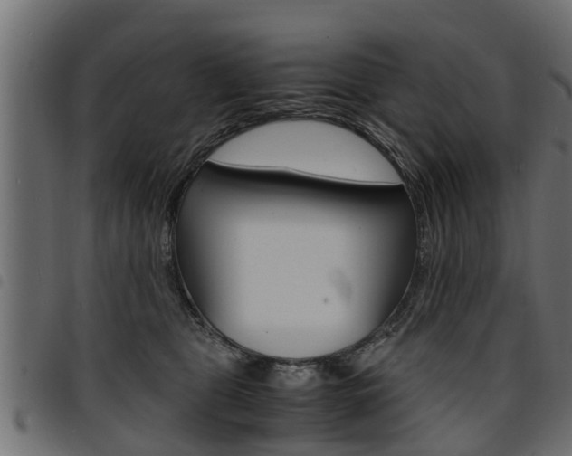 X0000094950469200711291109
