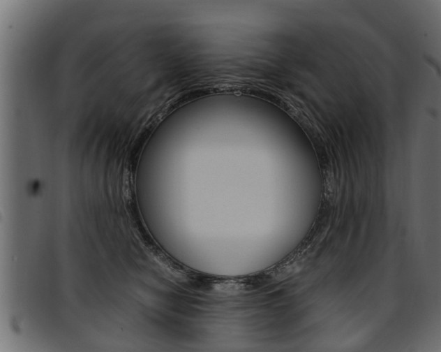 X0000094950470200711291109