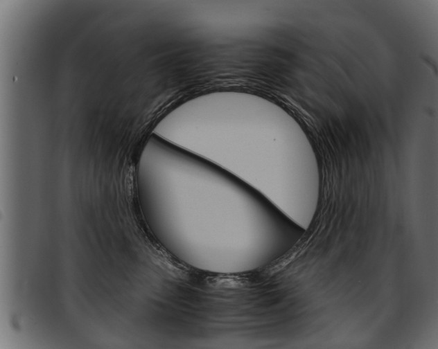 X0000094950475200711291109