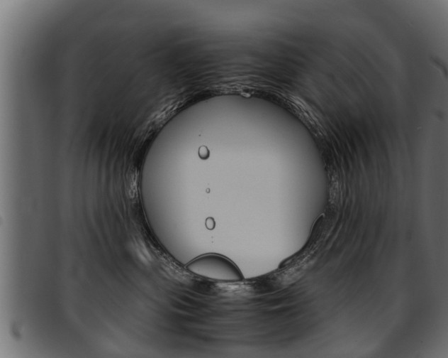 X0000094950477200711291109
