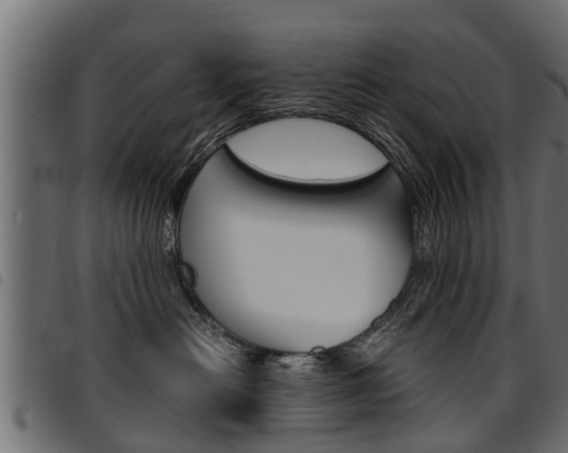 X0000094950478200711291109