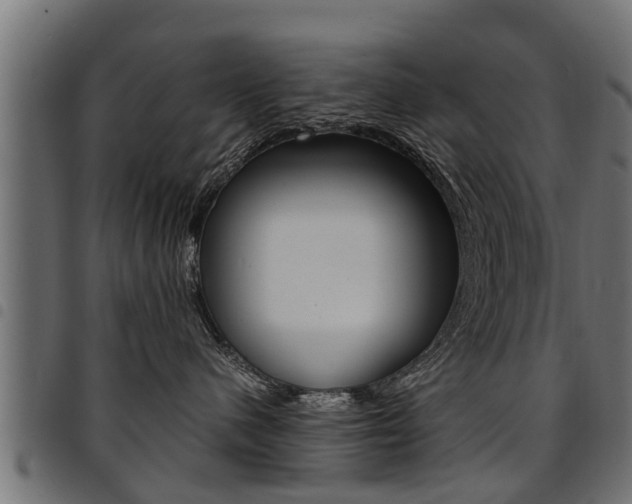 X0000094950480200711291109
